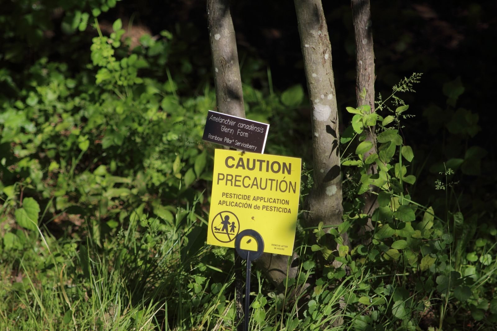 Close-up of a caution sign warning about pesticide application near green plants.