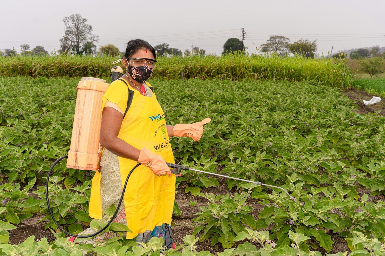 Systemic Insecticides