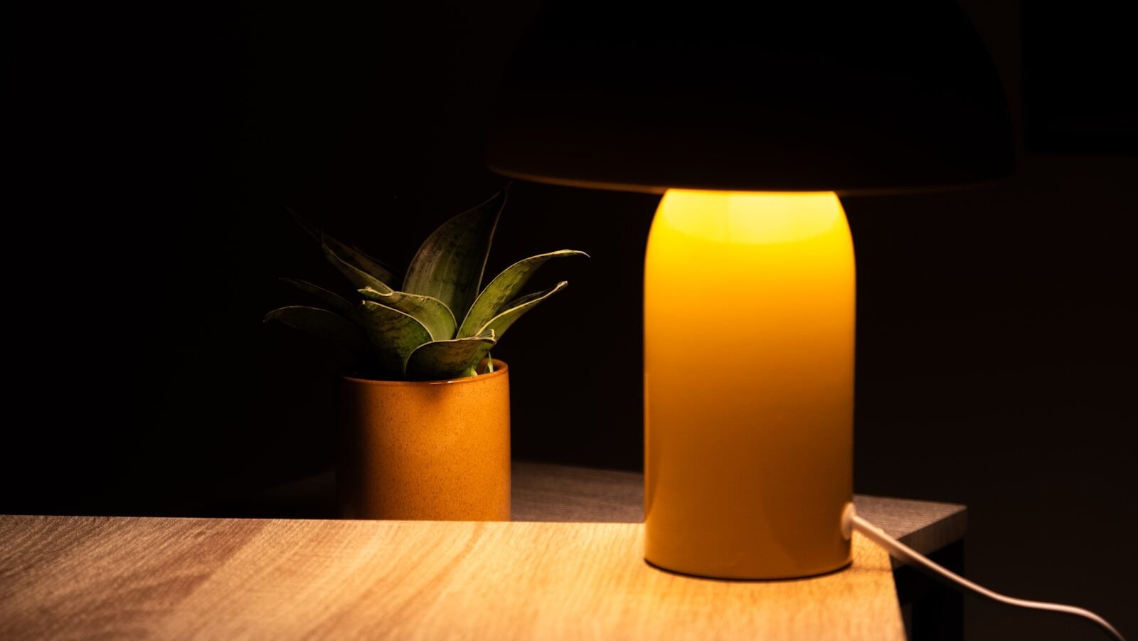 Low-Light Houseplants