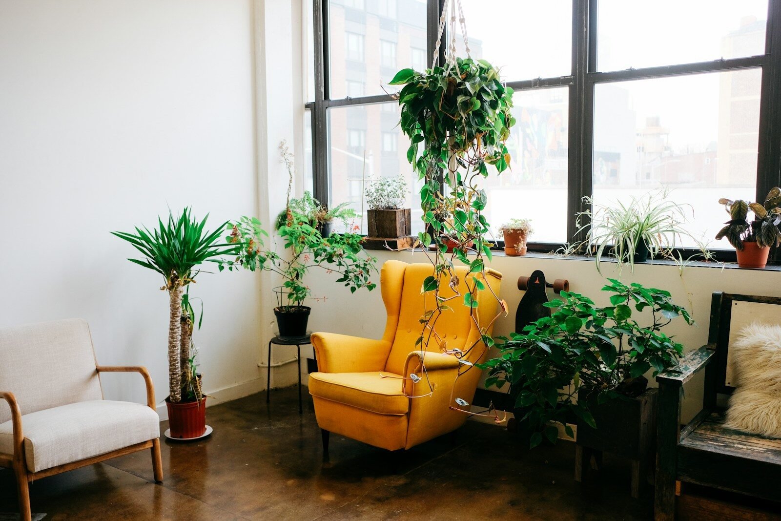 Lush Growth Indoors