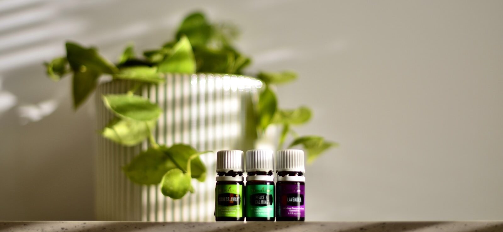 Oil Spray for Houseplants
