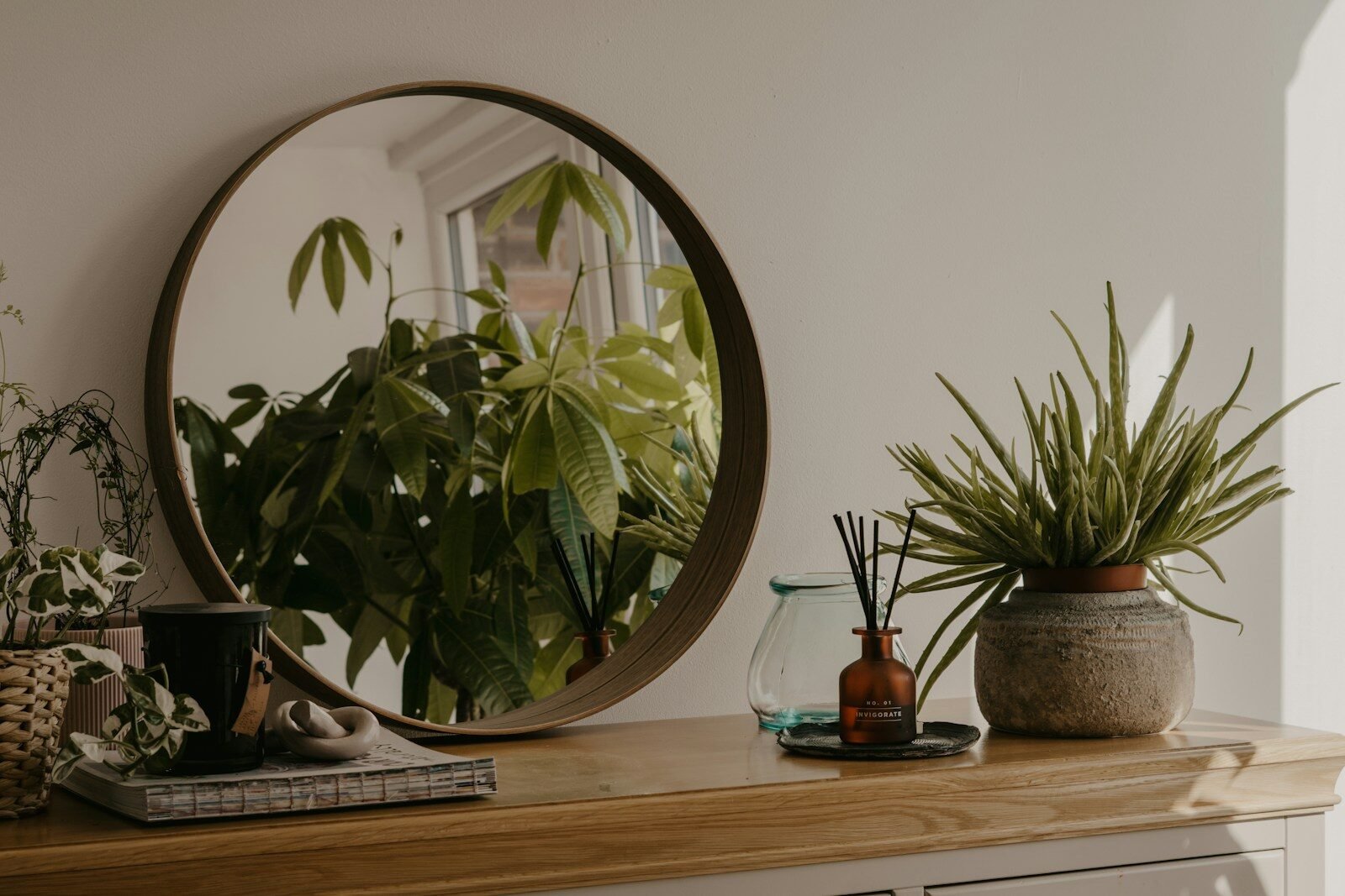 Oil Spray for Houseplants