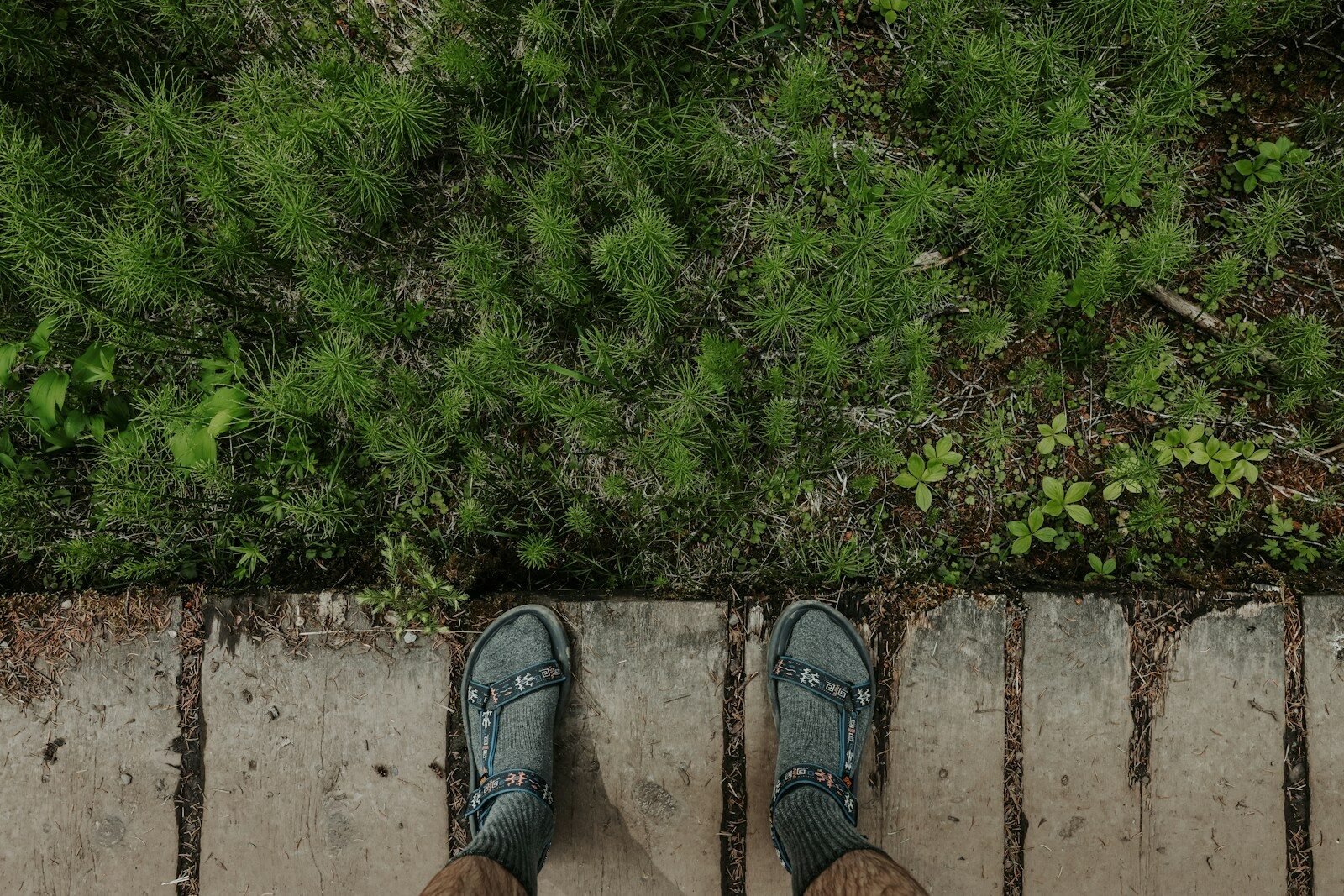 Soil Moisture