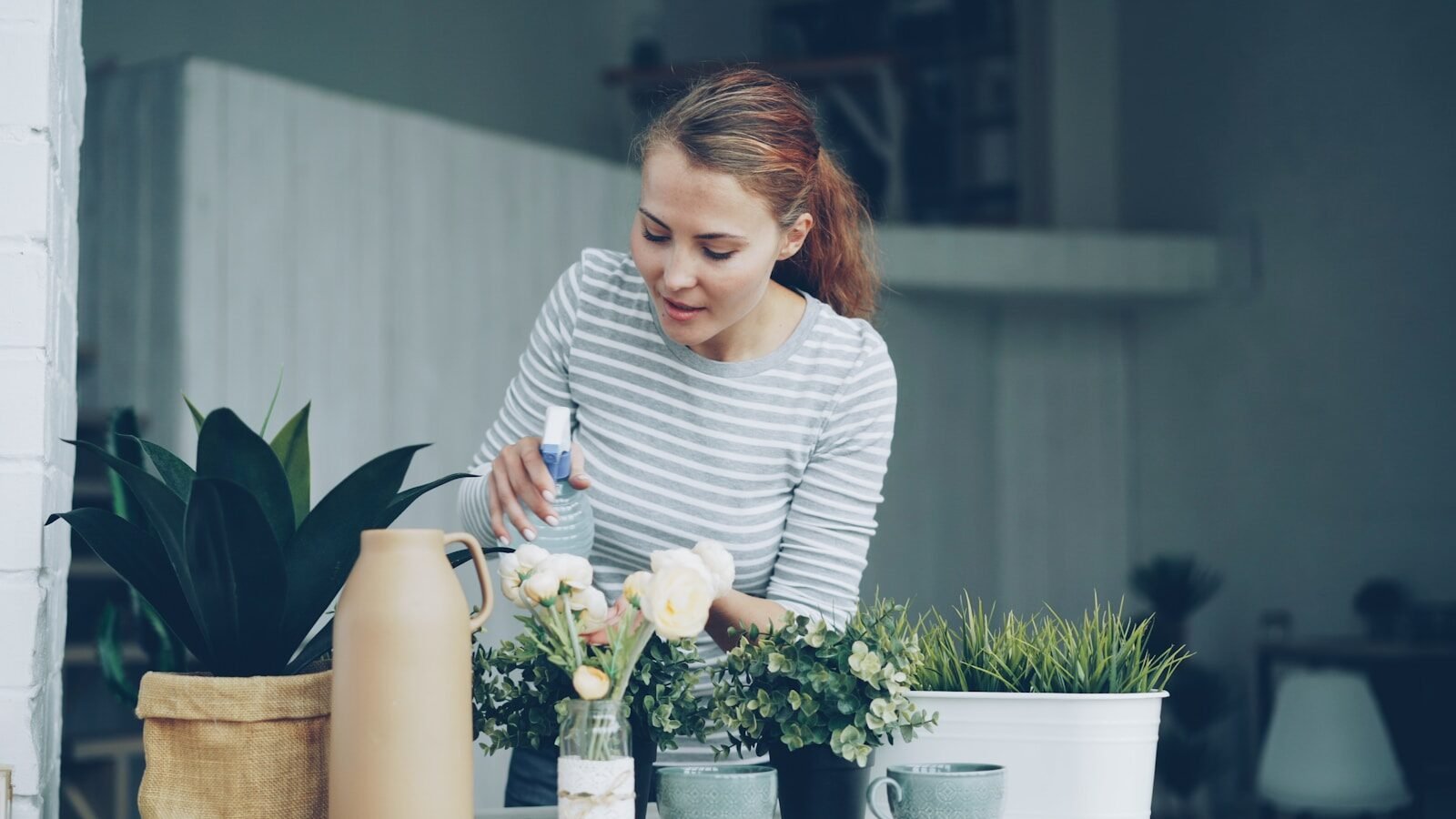 Oil Spray for Houseplants