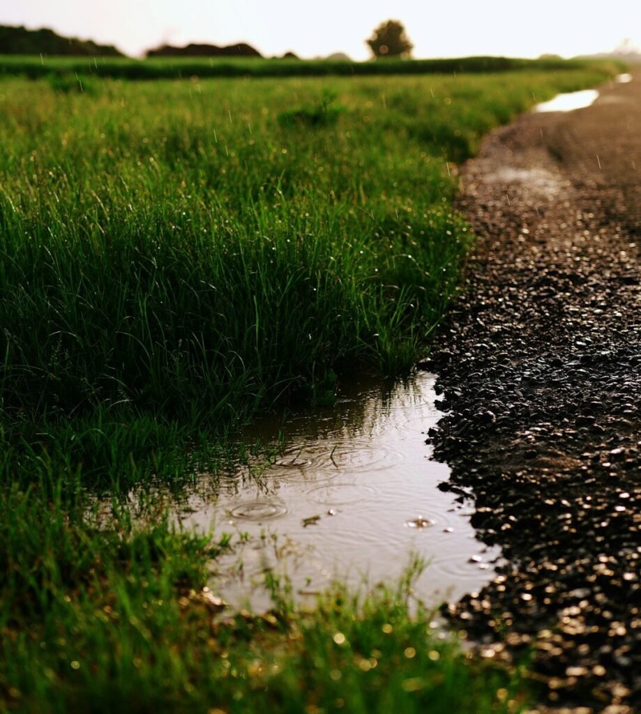 Soil Moisture