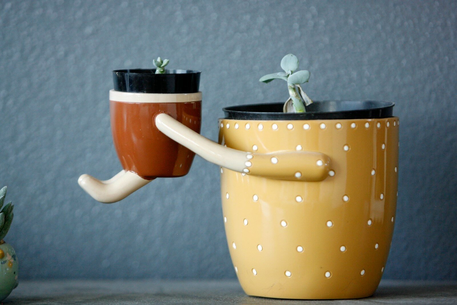 Self-Watering Planter
