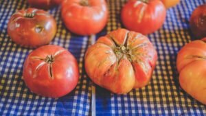 red tomato on blue and white checkered textile