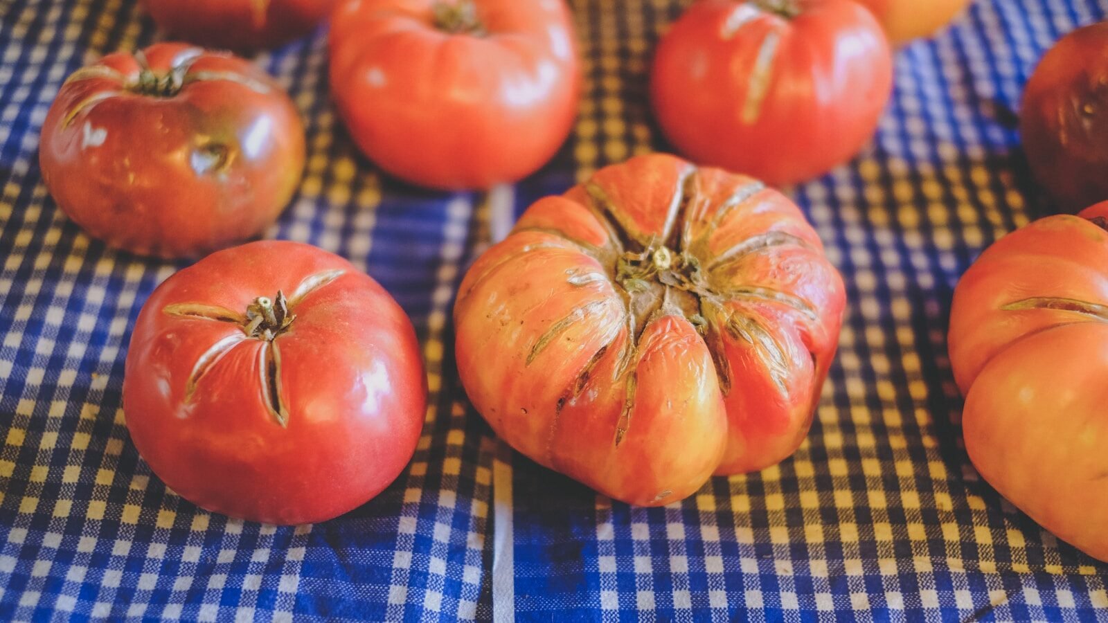 red tomato on blue and white checkered textile