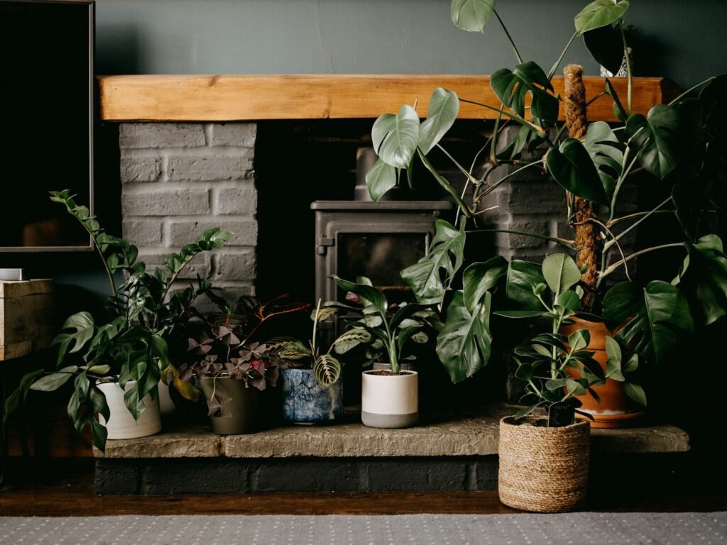 Lush Growth Indoors
